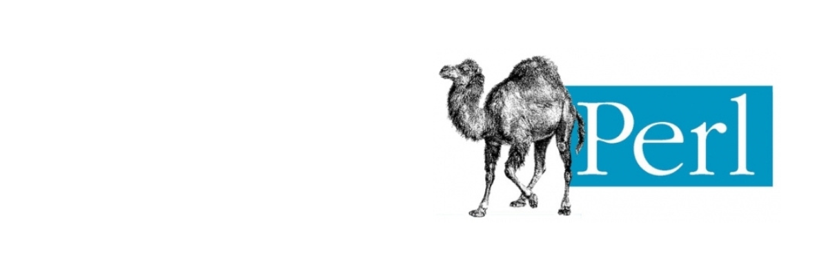 PERL SCRIPTING